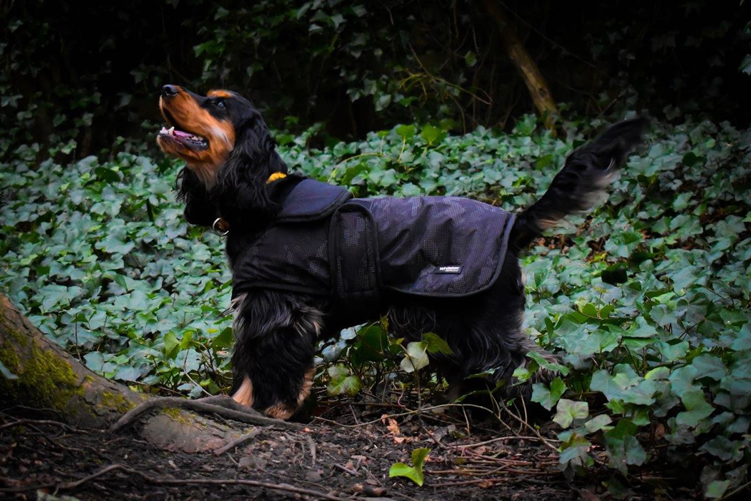 WHITAKER SYDNEY DOG COAT BLACK CAMO SMALL totalfarmsupplies.co.uk