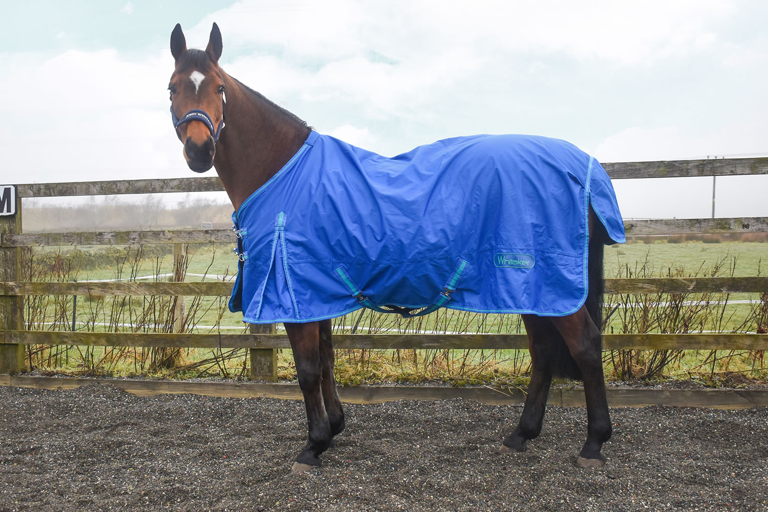 WHITAKER TURNOUT RUG EXLEY 0GM MID BLUE  5' 6'' TURNOUT RUG