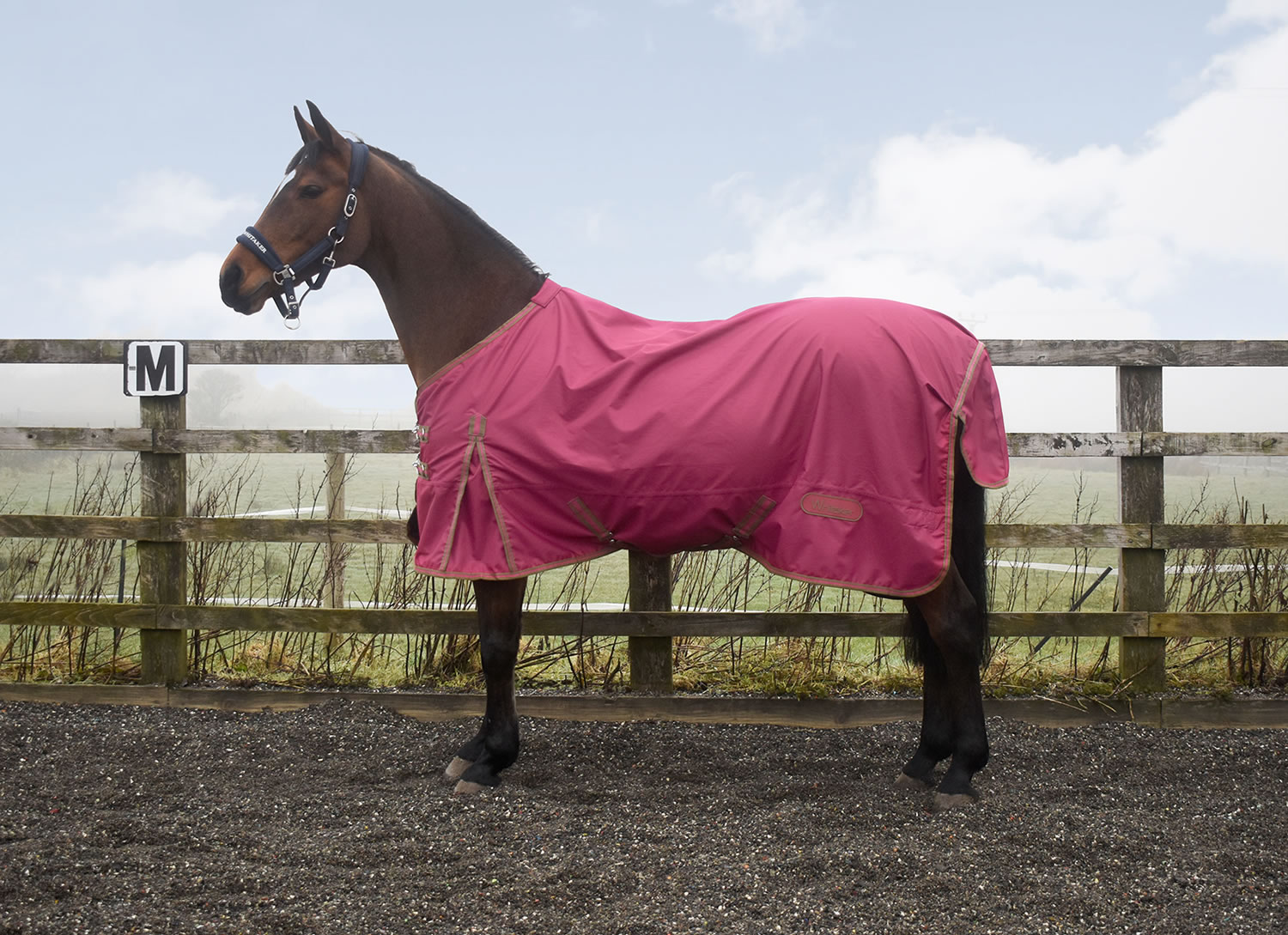 WHITAKER TURNOUT RUG EXLEY 0GM PLUM  5' 6'' TURNOUT RUG