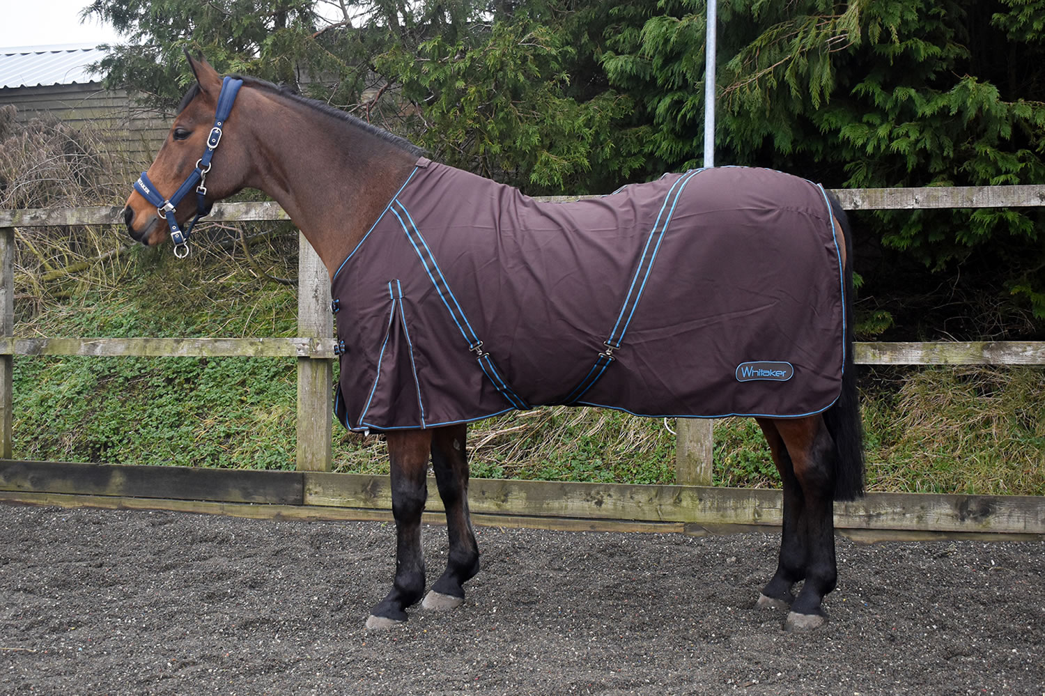 WHITAKER COTTON SHEET PONTEFRACT BROWN 6' 6" COTTON SHEET
