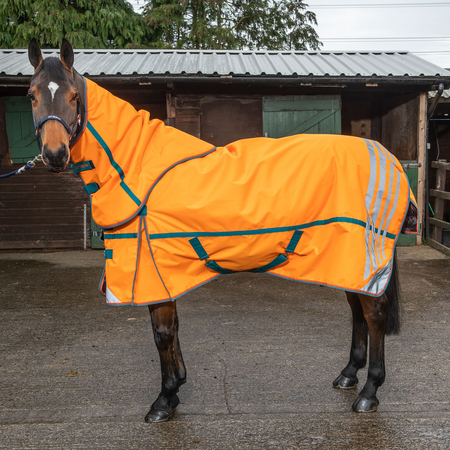 WHITAKER SEACROFT TURNOUT RUG DETACHABLE NECK 200GM ORANGE  4' 9'' TURNOUT RUG