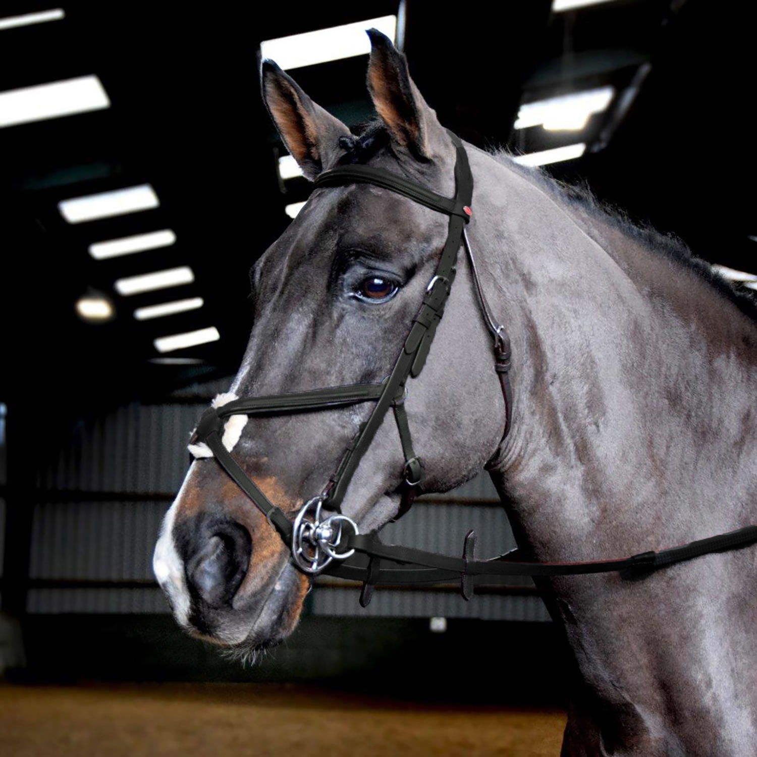 WHITAKER READY TO RIDE MEXICAN BRIDLE  COB