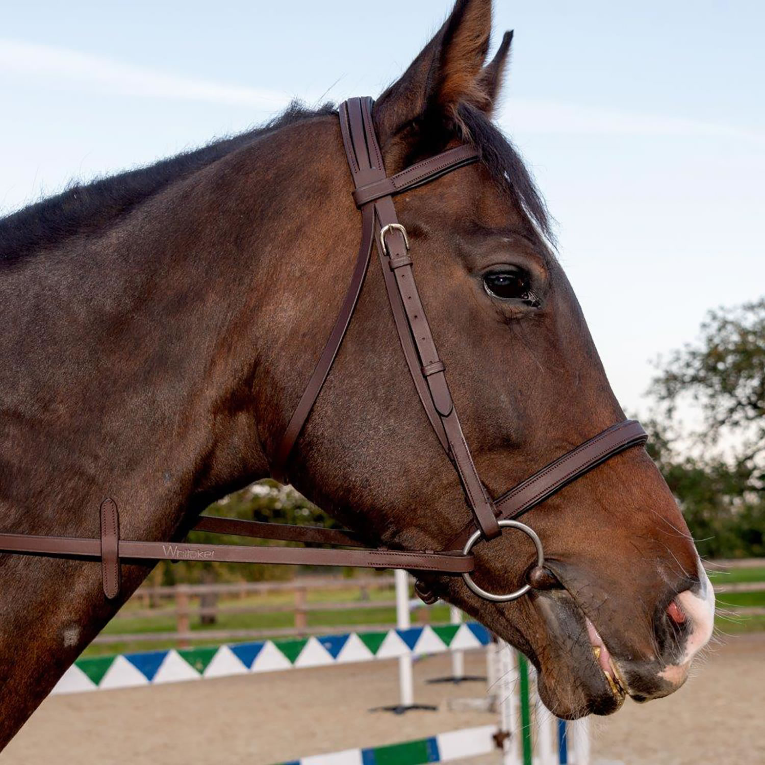 WHITAKER READY TO RIDE SNAFFLE BRIDLE  PONY