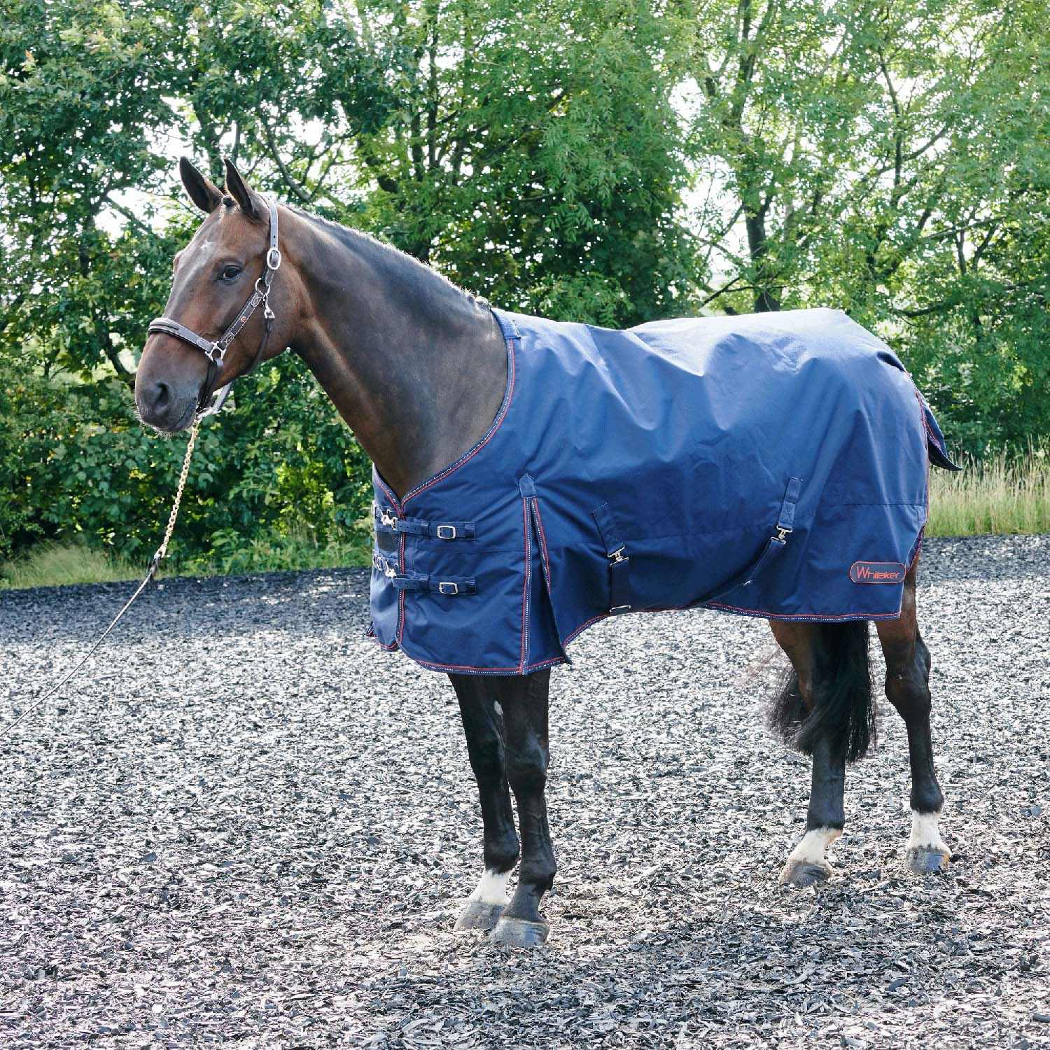 Tapis De Repos Pour Chevaux Whitaker Rastrick - Maille Blanche 6 Pieds - Neuf