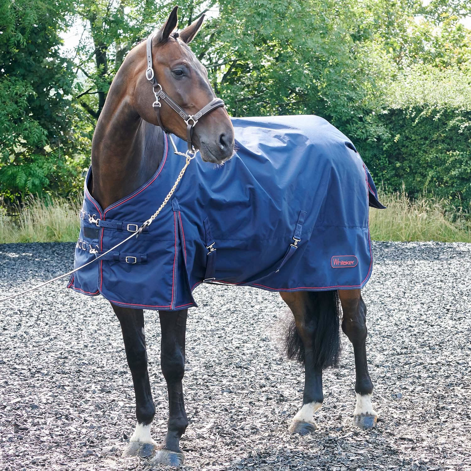 WHITAKER RASTRICK 200GM TURNOUT RUG  7' 0'' TURNOUT