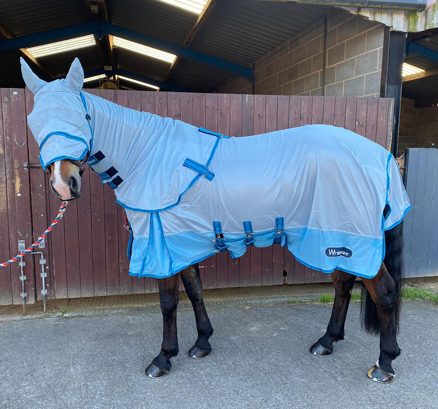 WHITAKER AIRTON FLY RUG LIGHT BLUE