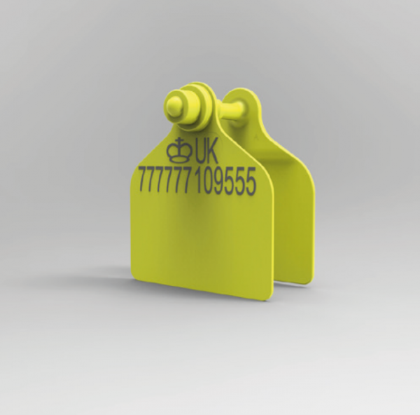 Secondary Flexa Maxi Management, Yellow
