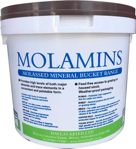 Molamin Dry Cow Mineral Bucket