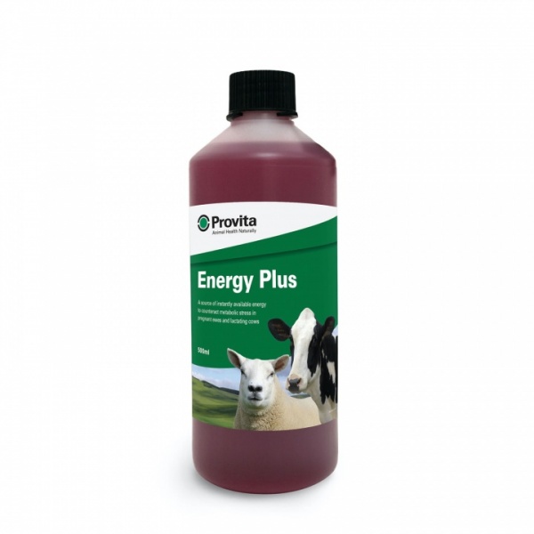 PROVITA ENERGY PLUS